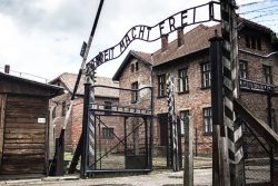 prywatna_wycieczka_wroclaw_auschwitz_birkenau